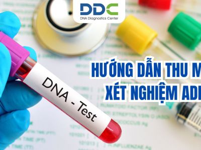 Hướng dẫn thu mẫu xét nghiệm ADN