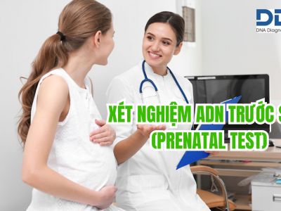 Xét nghiệm ADN trước sinh - Prenatal test